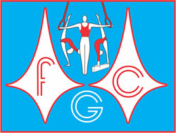 Resultado de imagen para gimnasia artistica masculina federacion cordobesa de gimnasia